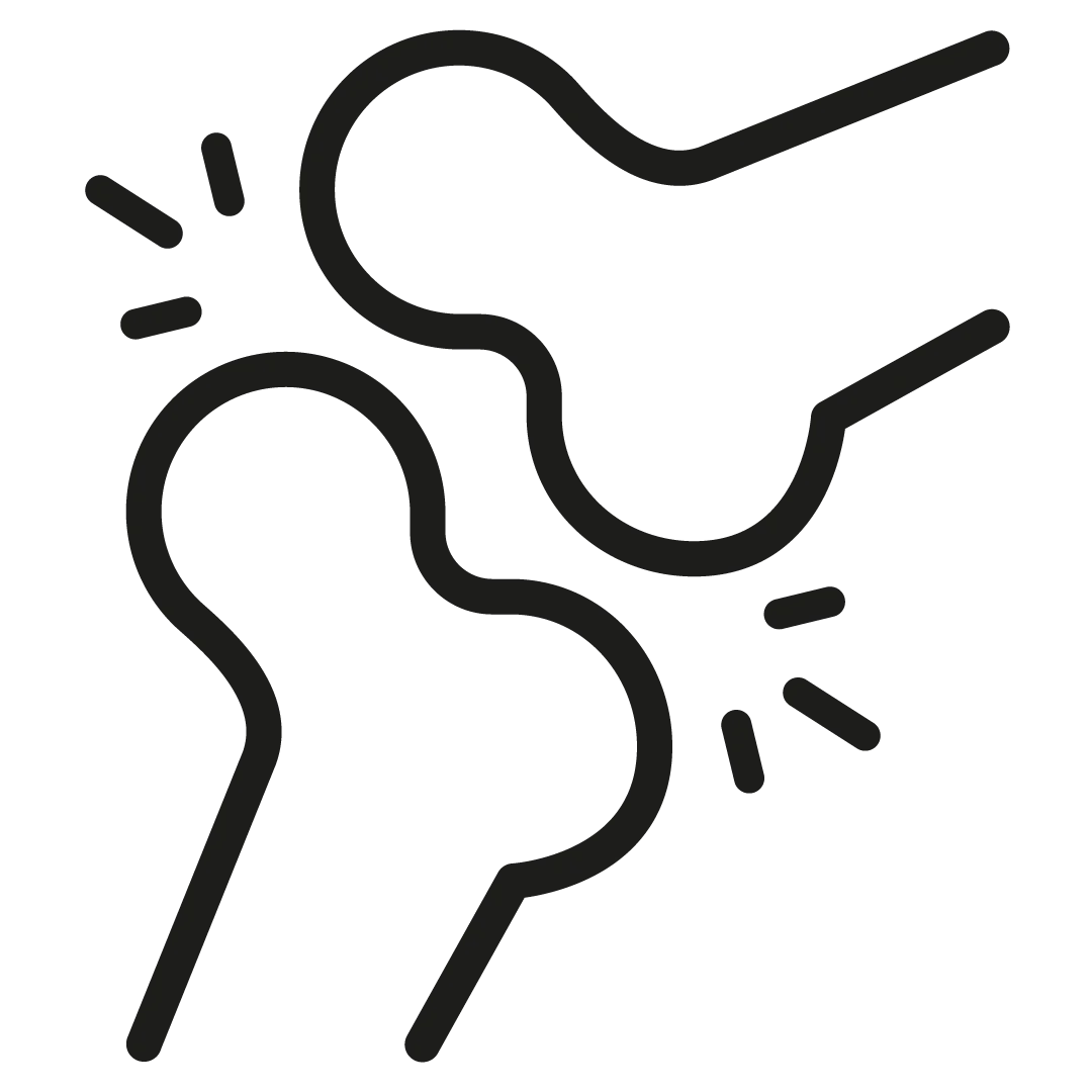 Os et articulations