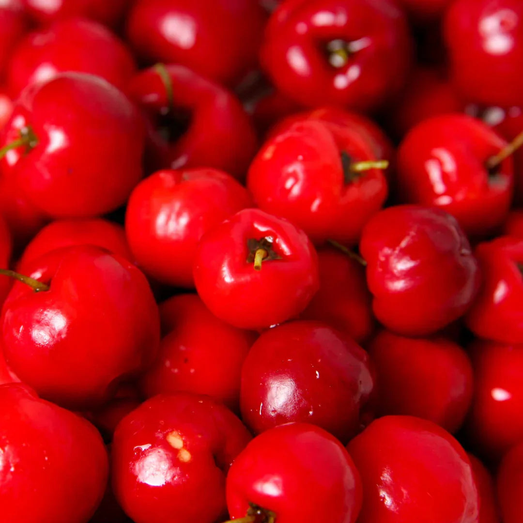 Acérola Vitamine C
