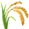 Sans gluten