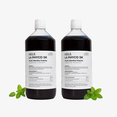 Format économique phycocyanine aromatisée menthe fraîche 2 bouteilles d'un litre