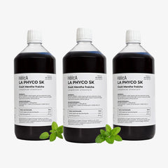 Format économique phycocyanine aromatisée menthe fraîche 3 bouteilles d'un litre